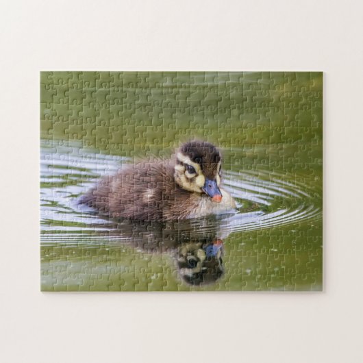 Mallard Duckling Puzzle (Horizontal)