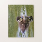 Mallard Duckling Puzzle (Vertikal)