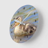 Mallard Duckling Runde Wanduhr (Winkel)