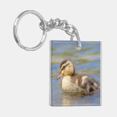 Mallard Duckling Schlüsselanhänger (Vorderseite links)