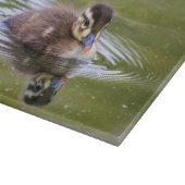 Mallard Duckling Schneidebrett (Ecke)