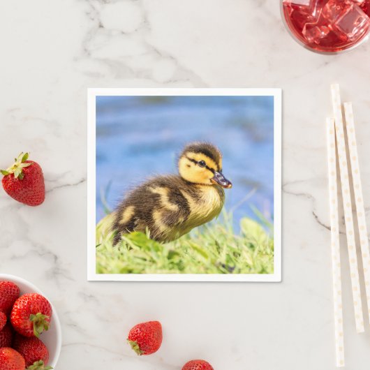 Mallard Duckling Serviette (Beispiel)