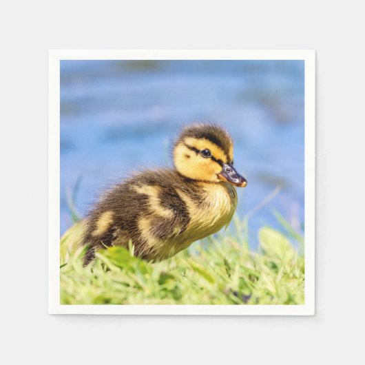Mallard Duckling Serviette (Vorderseite)