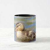 Mallard Duckling Tasse (Zentrum)