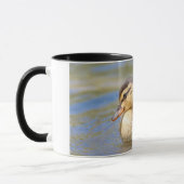 Mallard Duckling Tasse (Links)