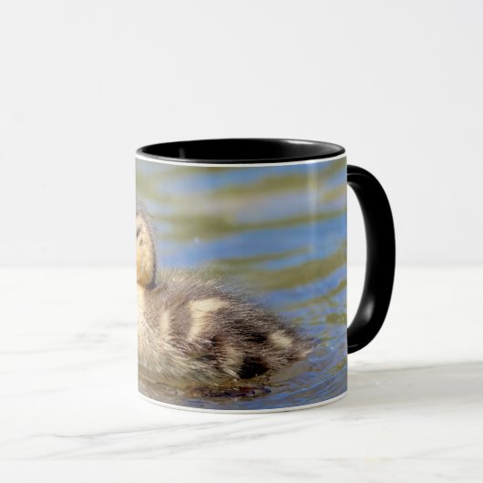 Mallard Duckling Tasse (VorderseiteRechts)