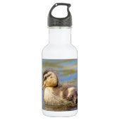 Mallard Duckling Trinkflasche (Vorderseite)