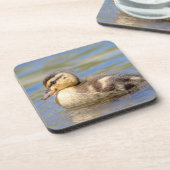 Mallard Duckling Untersetzer (Linke Seite)