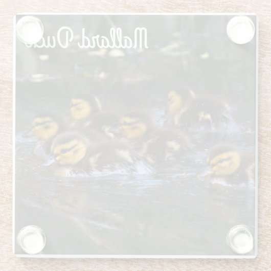 Mallard Ducklings Glasuntersetzer (Rückseite)
