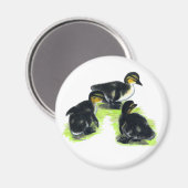 Mallard Ducklings Magnet (Vorderseite/Rückseite)