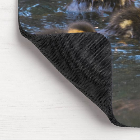 Mallard Ducklings Mousepad (Ecke)