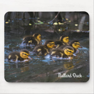 Mallard Ducklings Mousepad