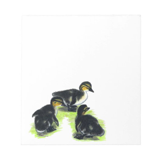 Mallard Ducklings Notizblock (Vorderseite)