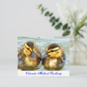 Mallard Ducklings Postkarte (Stehend Vorderseite)