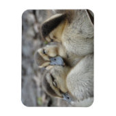 Mallard Ducklings Schnauze! Magnet (Vertikal)