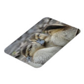 Mallard Ducklings Schnauze! Magnet (Linke Seite)