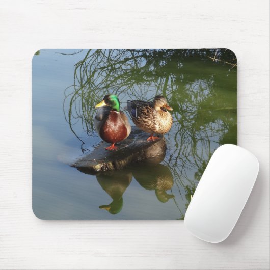 Mallard Ducks #2 Mouse Pad Mousepad (Mit Mouse)