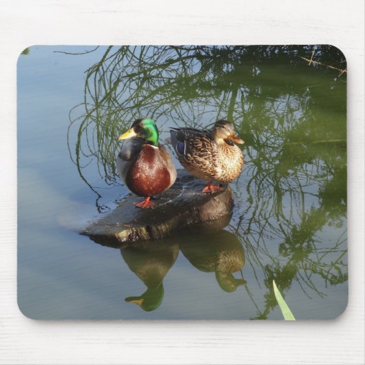 Mallard Ducks #2 Mouse Pad Mousepad (Vorne)