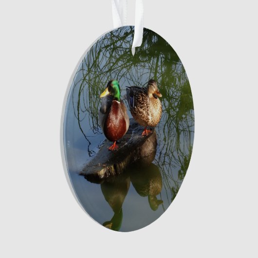 Mallard Ducks #2 Ornament (Vorderseite)