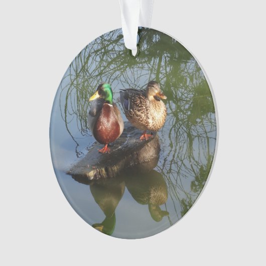 Mallard Ducks #2 Ornament (Vorderseite)