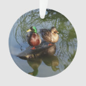 Mallard Ducks #2 Ornament (Vorderseite)