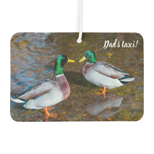 Mallard Ducks Air Freshener Autolufterfrischer (Rückseite)