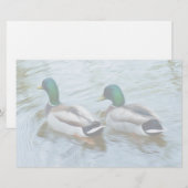 Mallard Ducks Briefpapier (Vorne/Hinten)