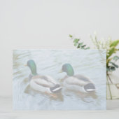 Mallard Ducks Briefpapier (Stehend Vorderseite)