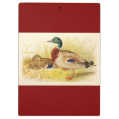Mallard Ducks Clipboard Klemmbrett (Rückseite)