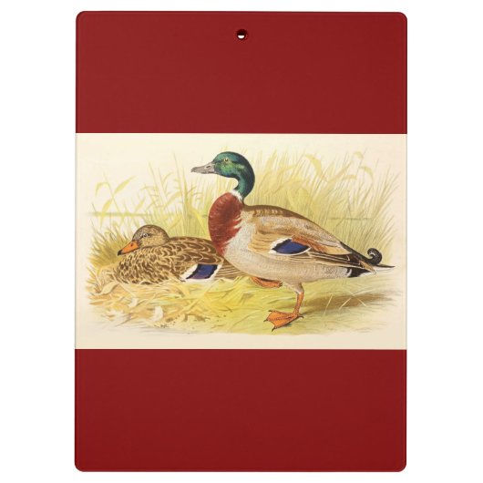 Mallard Ducks Clipboard Klemmbrett (Rückseite)