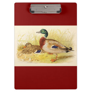 Mallard Ducks Clipboard Klemmbrett