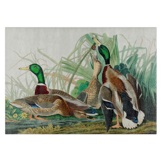 Mallard Ducks Cutting Board Schneidebrett (Vorderseite)