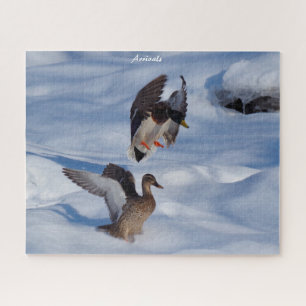 Mallard Ducks Departures Puzzle