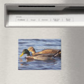 Mallard Ducks Foto Magnet (In Situ (Geschirrspüler))