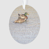 Mallard Ducks Foto Ornament (Vorderseite)