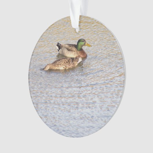 Mallard Ducks Foto Ornament (Vorderseite)