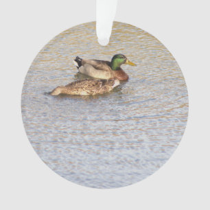 Mallard Ducks Foto Ornament