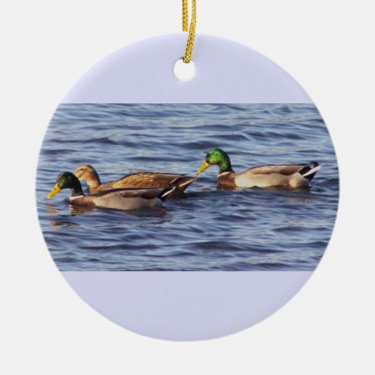 Mallard Ducks Foto Ornament (Vorne)