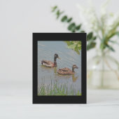 Mallard Ducks Foto Postkarte (Stehend Vorderseite)