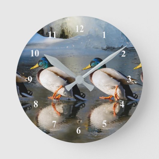 Mallard Ducks Ice Photo Runde Wanduhr (Vorderseite)
