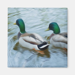 Mallard Ducks Magnet