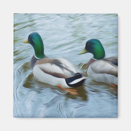 Mallard Ducks Magnet (Vorne)