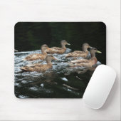 Mallard-Ducks Mousepad (Mit Mouse)