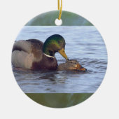 Mallard Ducks Ornament  (Vorne)