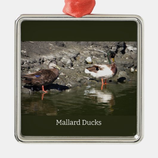 Mallard Ducks Ornament (Vorne)