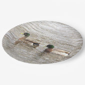 Mallard Ducks Photo Paper Plates Pappteller (Schrägansicht)