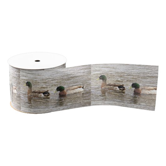 Mallard Ducks Photo Ribbon Ripsband (Spule)