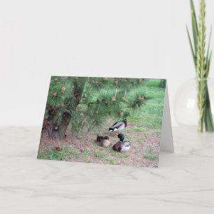 Mallard Ducks & Pines Geburtstagskarte w Bibel Ver Karte