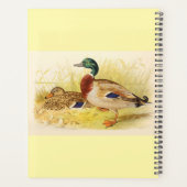 Mallard Ducks Planner Planer (Rückseite)