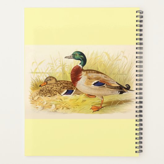Mallard Ducks Planner Planer (Rückseite)